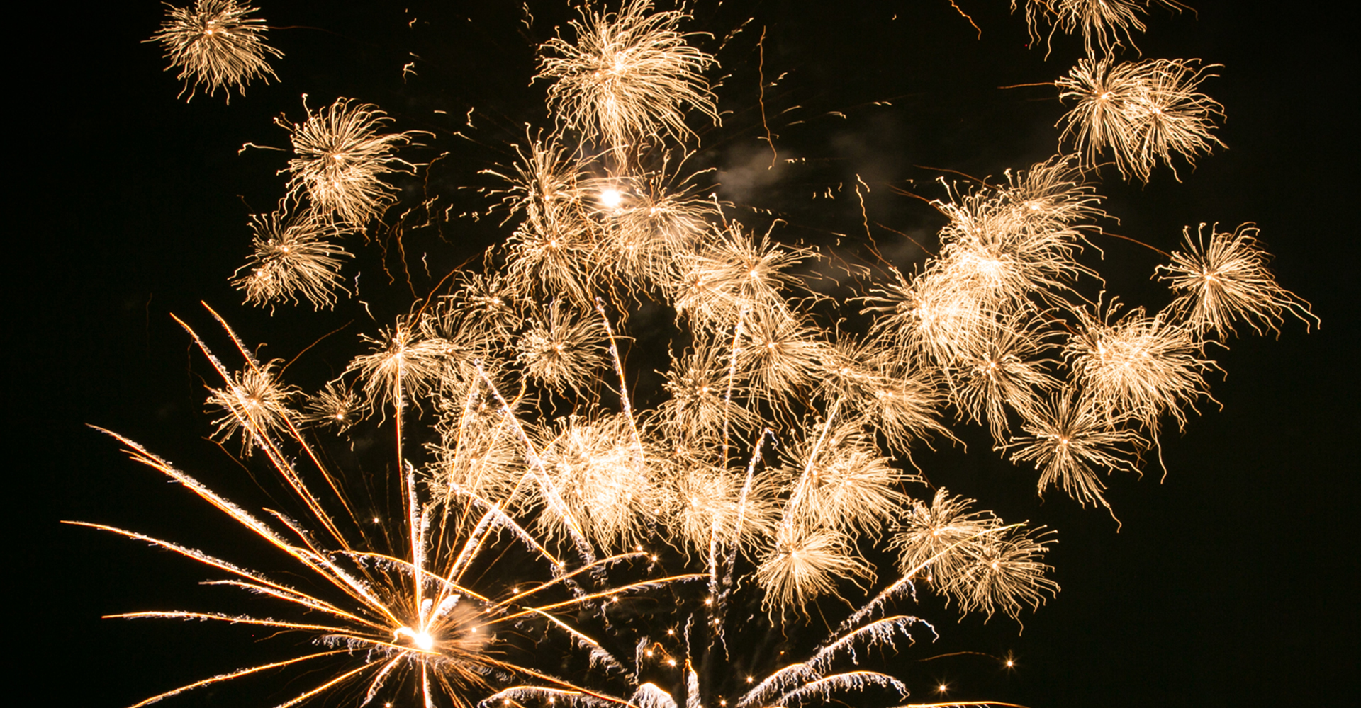 Trust Fireworks
